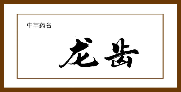 龍齒