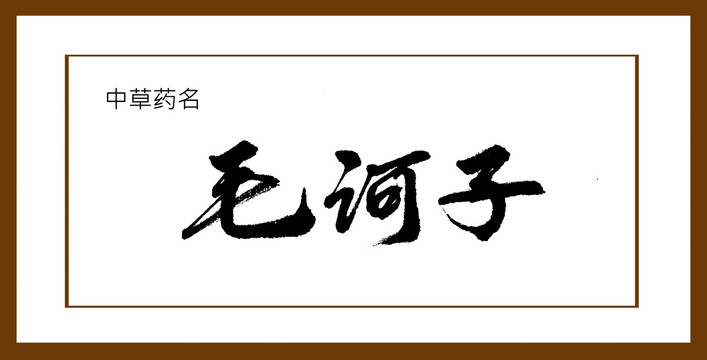 毛訶子