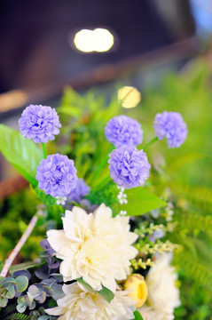藍(lán)色的花
