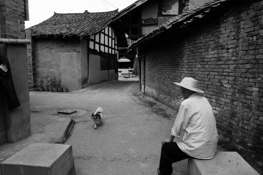 街边闲坐的老人和狗
