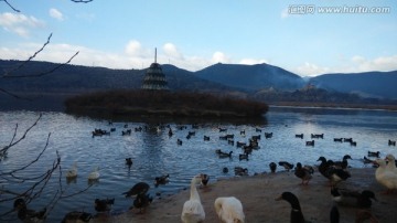 香格里拉松赞林寺湖边