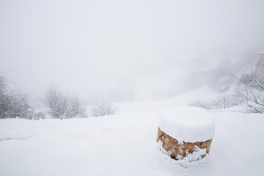 雪景