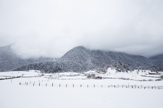 雪中雨崩