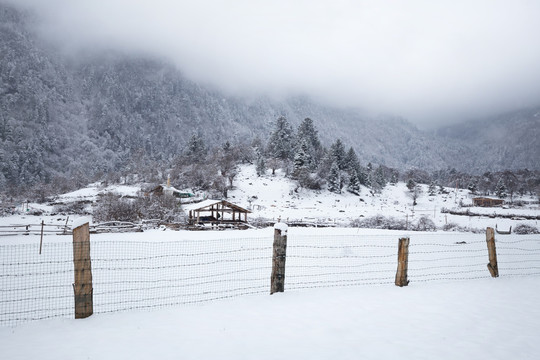 雪中雨崩村