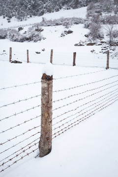 雪中雨崩