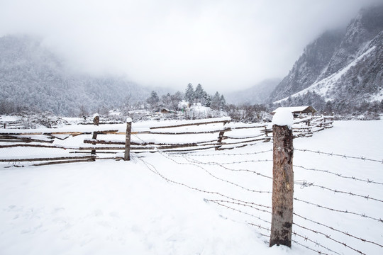 雪中雨崩