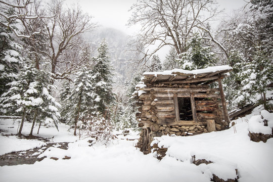 雪中森林木屋