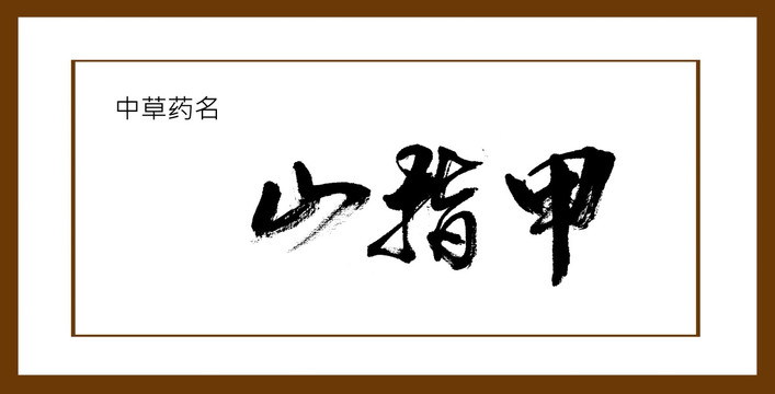 山指甲