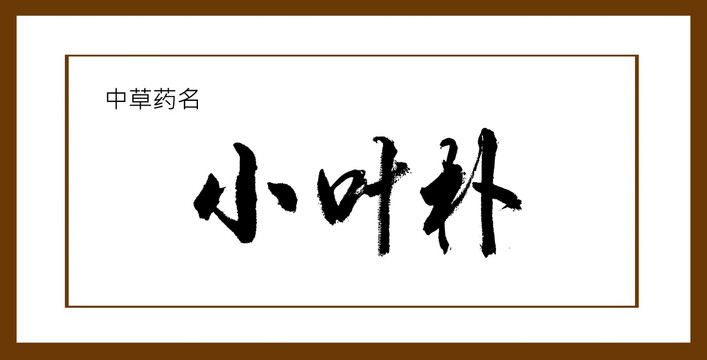 小葉樸