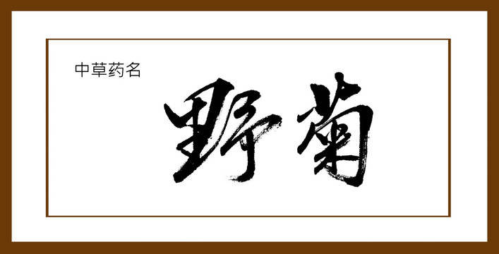 野菊