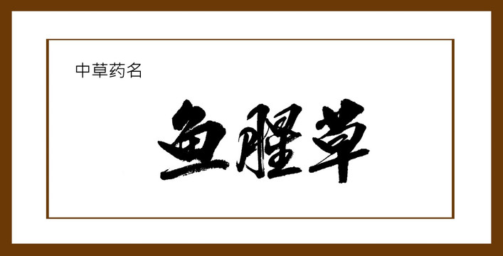魚腥草