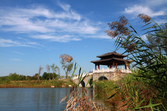 马踏湖湿地公园