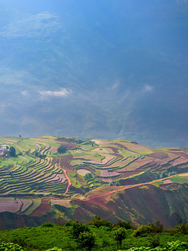 大山田园