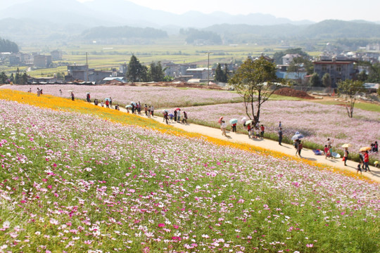 梁野山花海