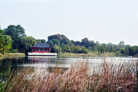 湖畔美景