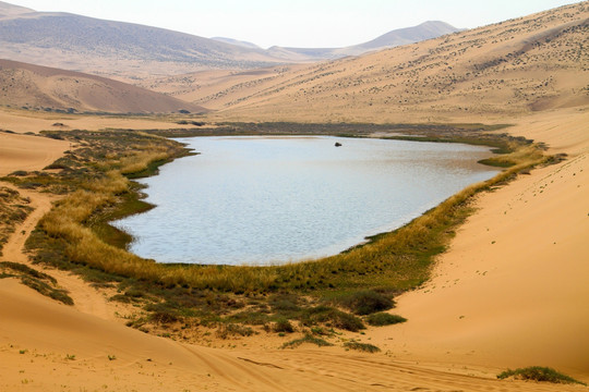 沙漠之湖