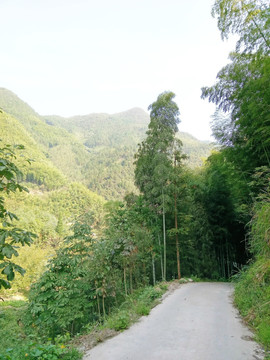 下山小路