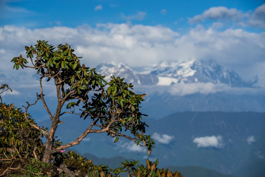 牛背山