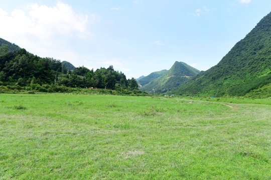 草原风光