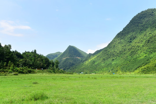 草原风光