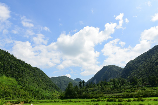 湖北恩施市洗草坝草原风光