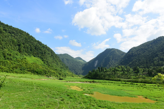 草原风光