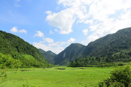 草原风景