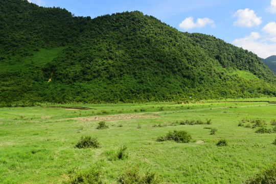 草原风景