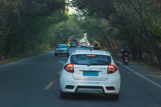 乡村道路