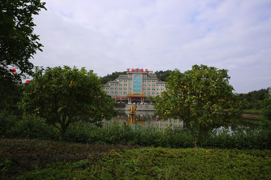 武宁国际大酒店远景