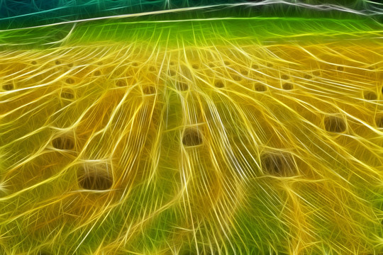 電腦畫 田野秋色