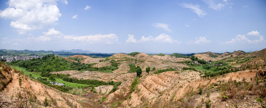 山茶油基地全景