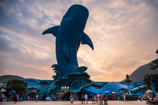 鲸鲨水族馆