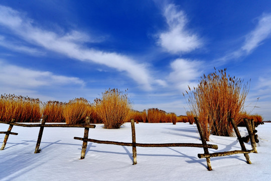 雪后阅海