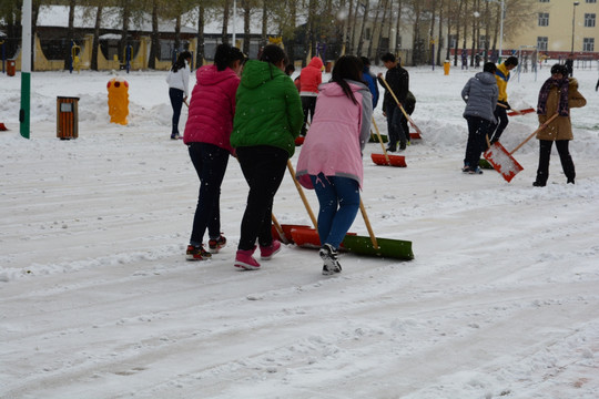 校园清雪劳动