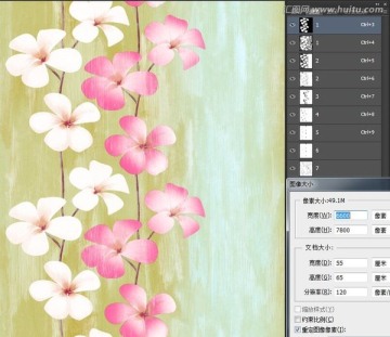 過(guò)渡花花