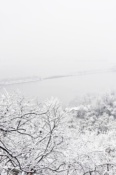 杭州 西湖雪景 保叔塔