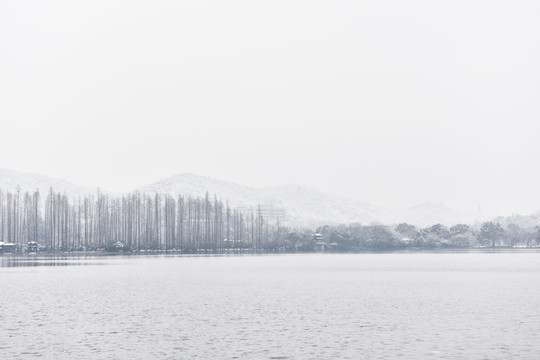 西湖雪