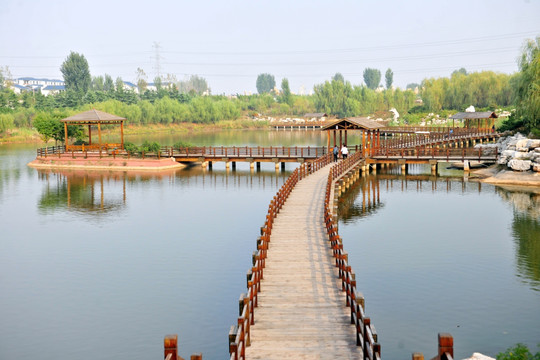 木桥 景区 水上建筑