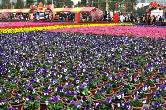 春节花市