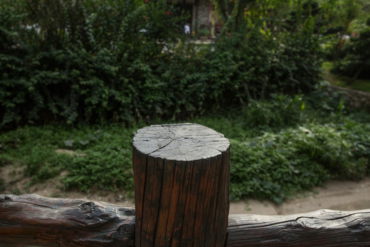 树墩 树桩 木墩素材
