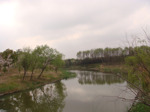 顾村公园风景