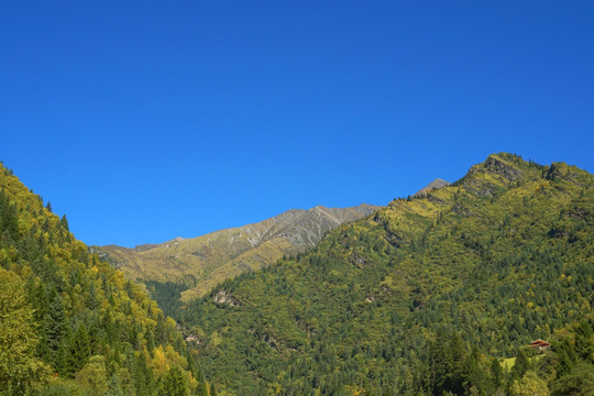 自然风光 高原山林 秋色初染