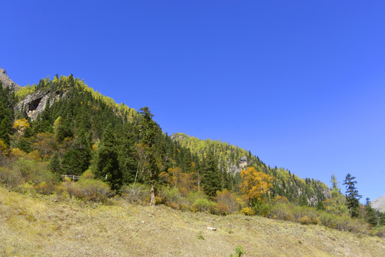 自然风光 高原山林 秋色初染