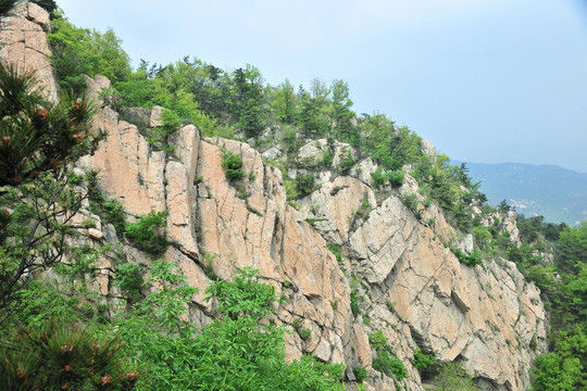 山石 大山 山区