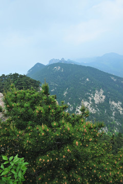 山区 山涧 大山风景 山景