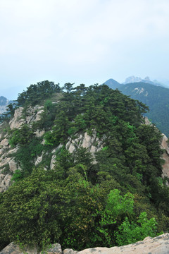 高山 山景 大山