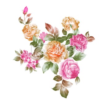 花卉 花