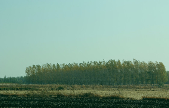 田野