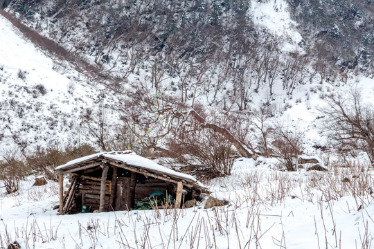 雪景